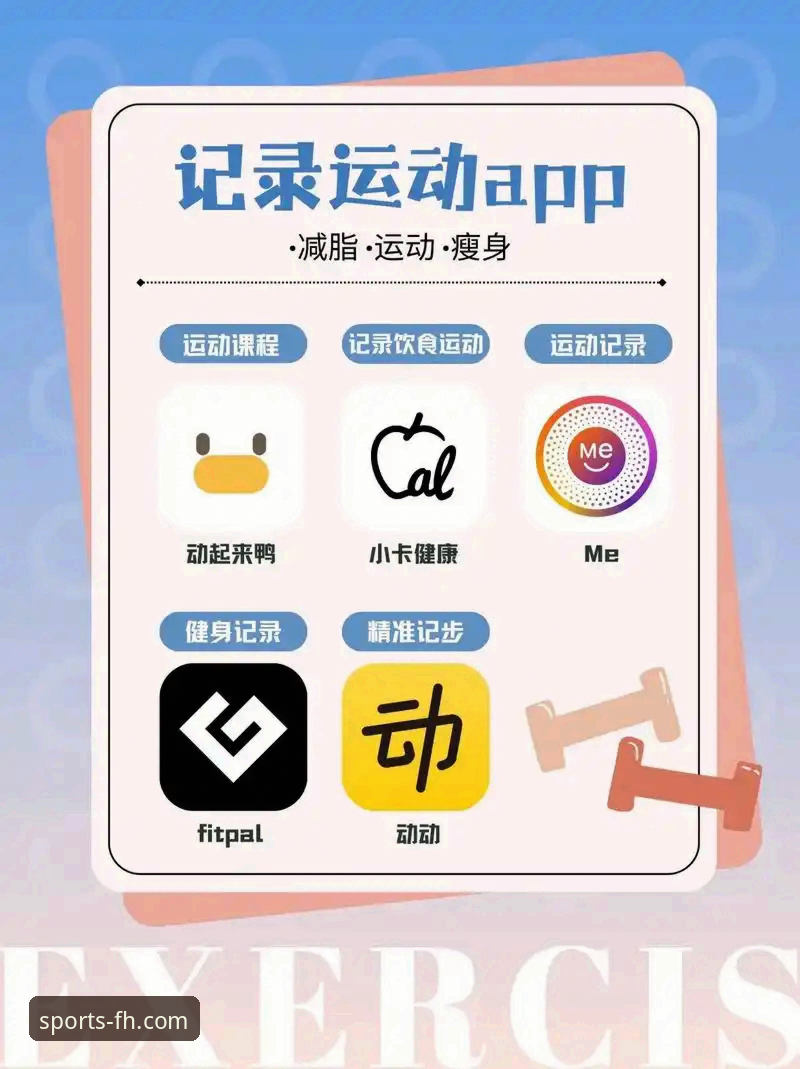 FH体育平台App下载与使用全攻略：从官网获取到流畅体验的实用指南